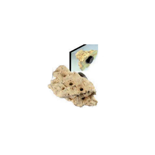 Tunze Coral Rack - Nano