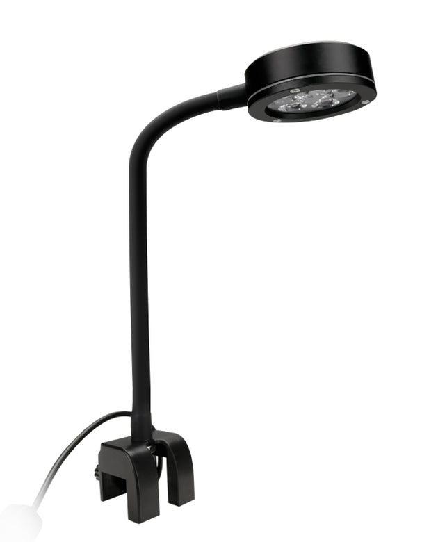 ReefBreeders Pico DISPLAY Refugium LED