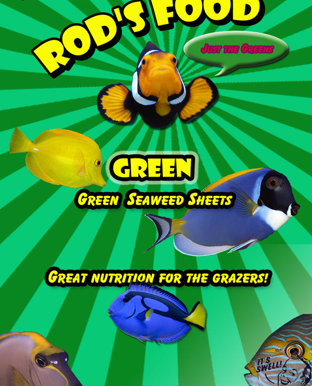 (#85039000221)  Rod's Food Seaweed 30gram - Green