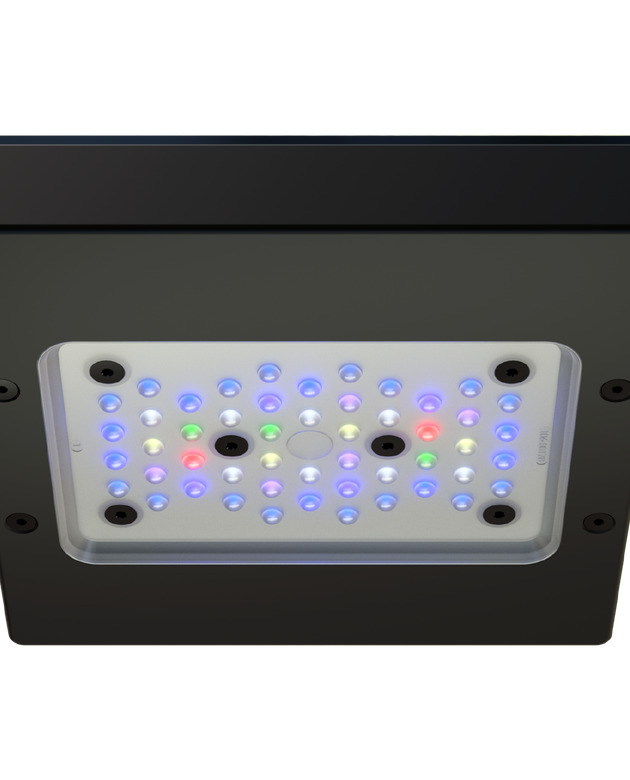 Radion XR15G6PRO