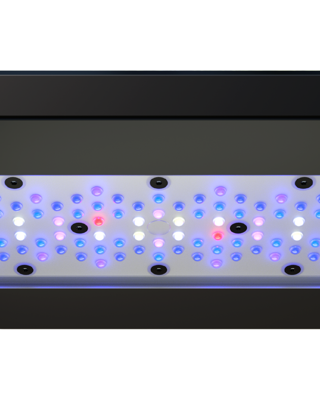 Radion XR30G6BLUE