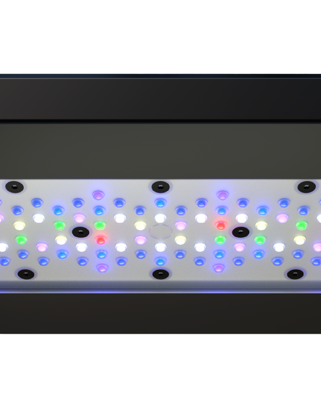 Radion XR30G6PRO