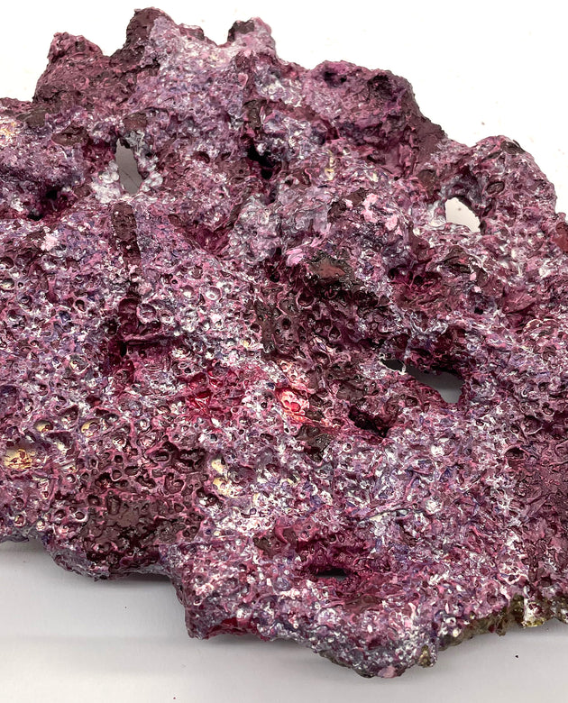 Tropic Eden Morroca Shelf Rock - Small - ONE Piece (1.5-2.2lbs)