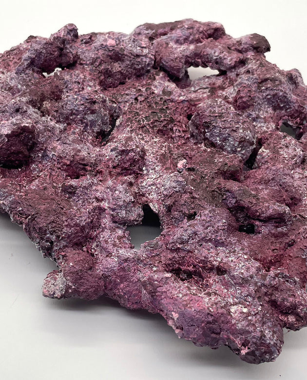 Tropic Eden Morroca Shelf Rock - Med - ONE Piece (3.7-4.2lbs)