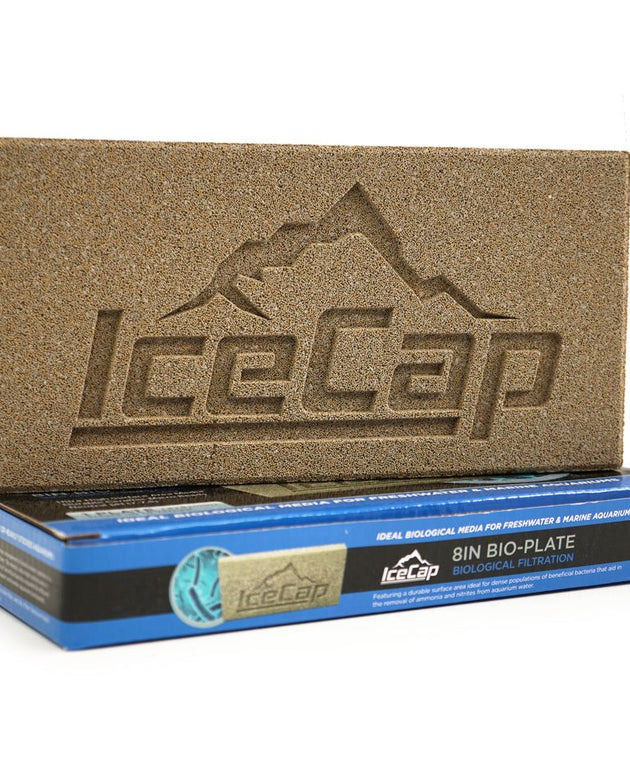Icecap Bio-Plate 8