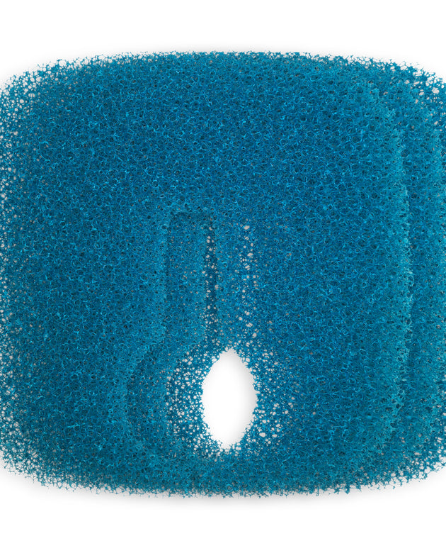 JBJ Reaction Pro 2 - Coarse Sponge