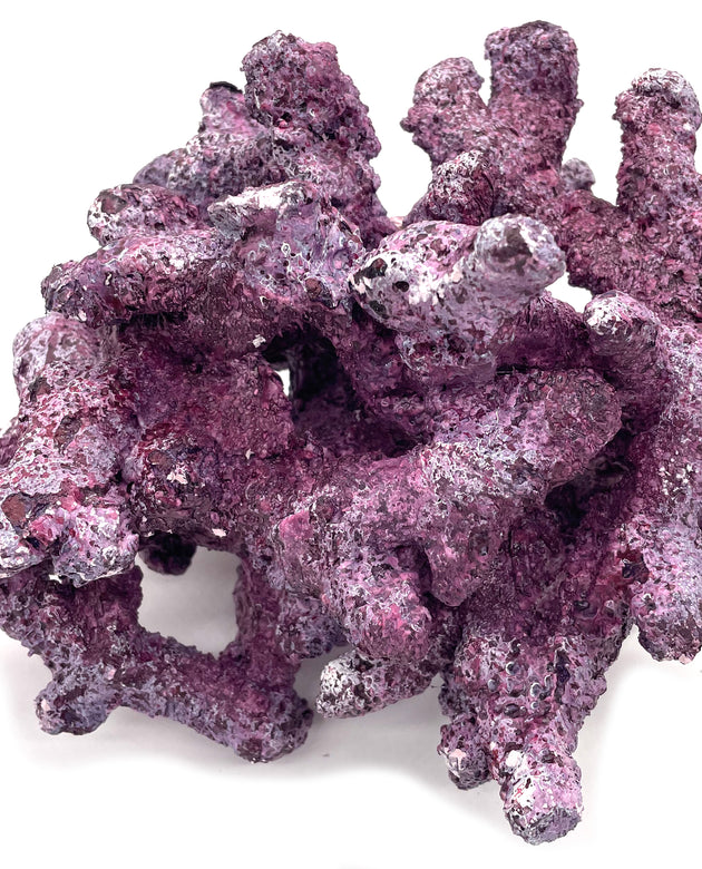 Tropic Eden Morroca Irregular Rock - Large - ONE Piece (approx 5lbs)