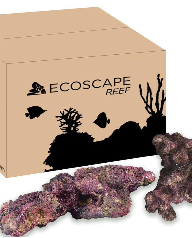 Ecoscape Reef Mix B