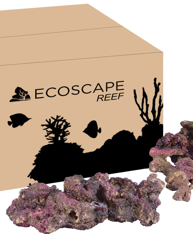 Ecoscape Reef Mix C