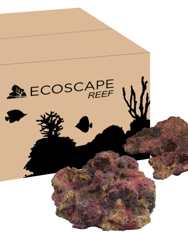 Ecoscape Reef Mix F (Shelf)