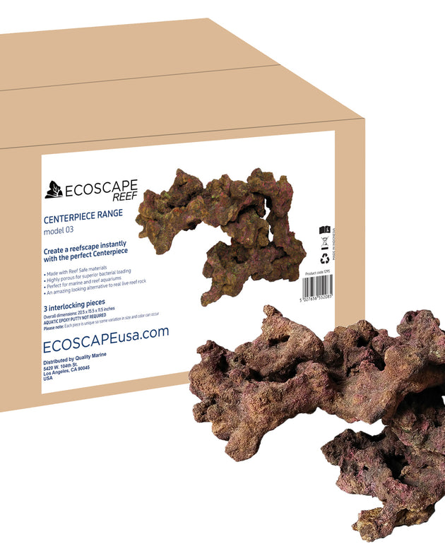 Ecoscape Reef Centerpiece 03