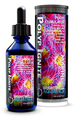 Brightwell Aquatics Polyp Ignite, polyp stimulator, dropper & tulox - 125 ml / 4 fl. oz.