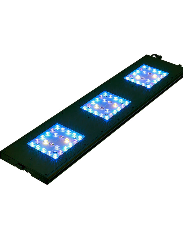 Reef Breeders Meridian 35