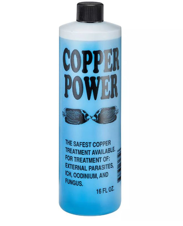 Copper Power Blue 16 oz