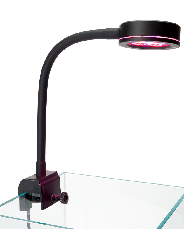 ReefBreeders Pico Refugium LED