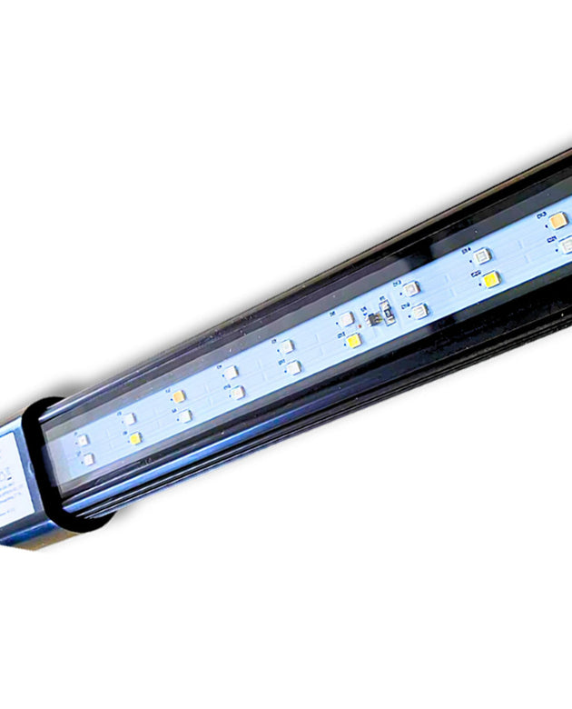 Dalua Illumagic 36 Vitamini Super Actinic Strip Light