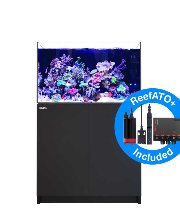 Red Sea Reefer G2+ 300 Complete System - Black