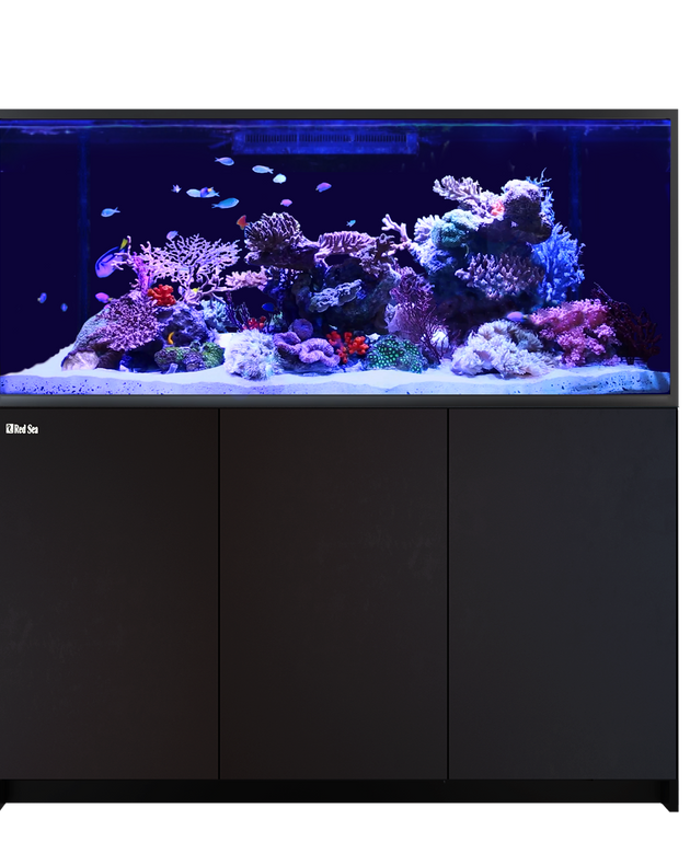 Red Sea Reefer-G2+ S 700 Complete System - Black