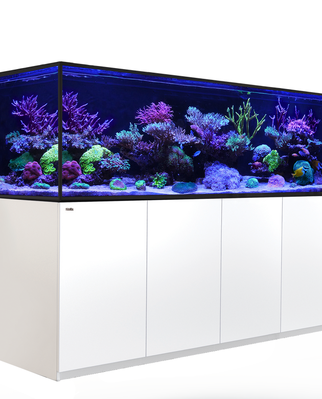Red Sea Reefer S 1000 G2+ Complete System - White