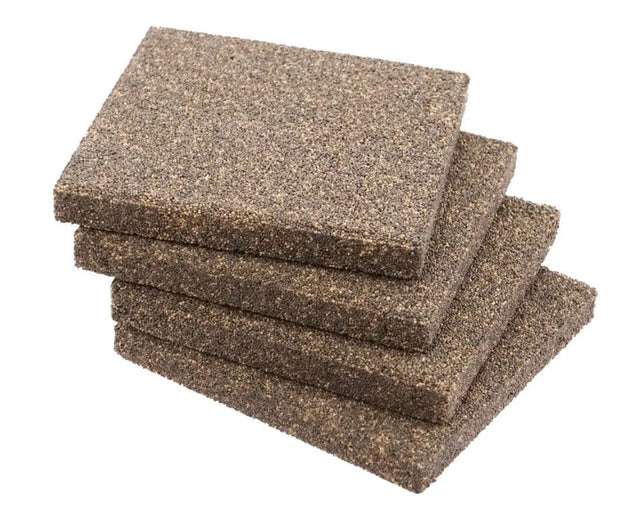 2in Biological Coral Frag Tile