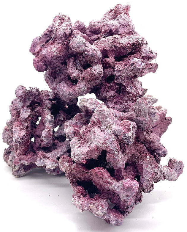 Tropic Eden Morroca Irregular Rock - Small - EIGHT Piece Rock Box