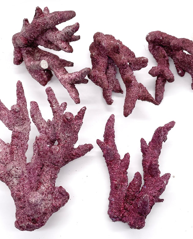 Real Reef Branch Prev Gen - 5 Pieces - WYSIWYG