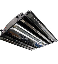 Reef Brite 36