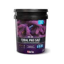 Red Sea Coral Pro Salt - 55 gal - Bucket