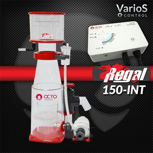 Regal 6