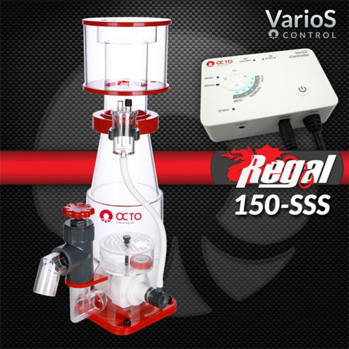 Regal 6