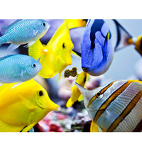 Easy Reefs Masstick Fish Food - 14 grams