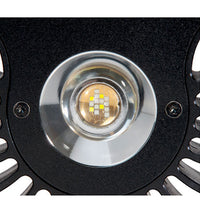 Kessil A80 Tuna Blue LED Light