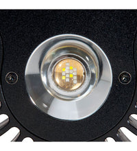 Kessil A80 Tuna Sun LED Light