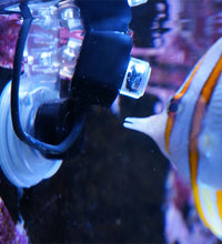 Icecap Reef Cam Lens Jacket