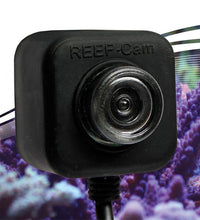 Icecap Reef Cam Lens Jacket