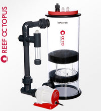 Reef Octopus 8