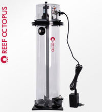 Reef Octopus 6