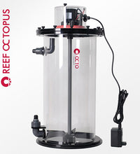 Reef Octopus 10