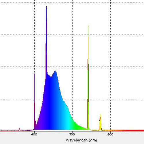 Reef Brite 39 Watt T5 HO Actinic Blue