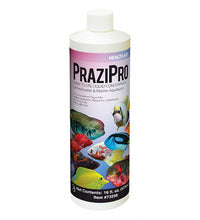 HIKARI PRAZIPRO 16OZ