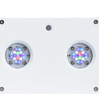 AI Hydra 32 HD LED Module - White