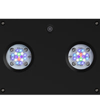 AI Hydra 32 HD LED Module - Black