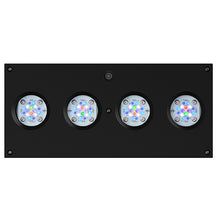 AI Hydra 64 HD LED Module - Black
