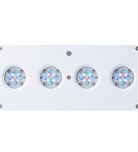 AI Hydra 64 HD LED Module - White
