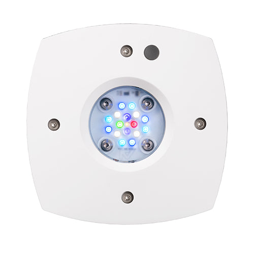 AquaIllumination PRIME 16HD LED Fixture - WHITE
