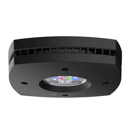 AquaIllumination PRIME 16 FRESHWATER LED Black Fixture