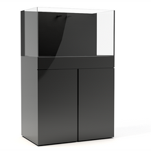 65G AIO - STARTER KIT - AQUARIUM + BLK STAND