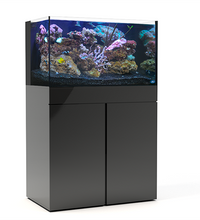 65G AIO - STARTER KIT - AQUARIUM + BLK STAND