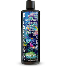 Brightwell MicroBacterSTARTXLM - Professional 15X Strong Nitrifying Tank Starter Bacteria Culture - 500 ml /17 fl. oz.
