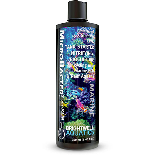 Brightwell MicroBacterSTARTXLM - Professional 15X Strong Nitrifying Tank Starter Bacteria Culture - 500 ml /17 fl. oz.